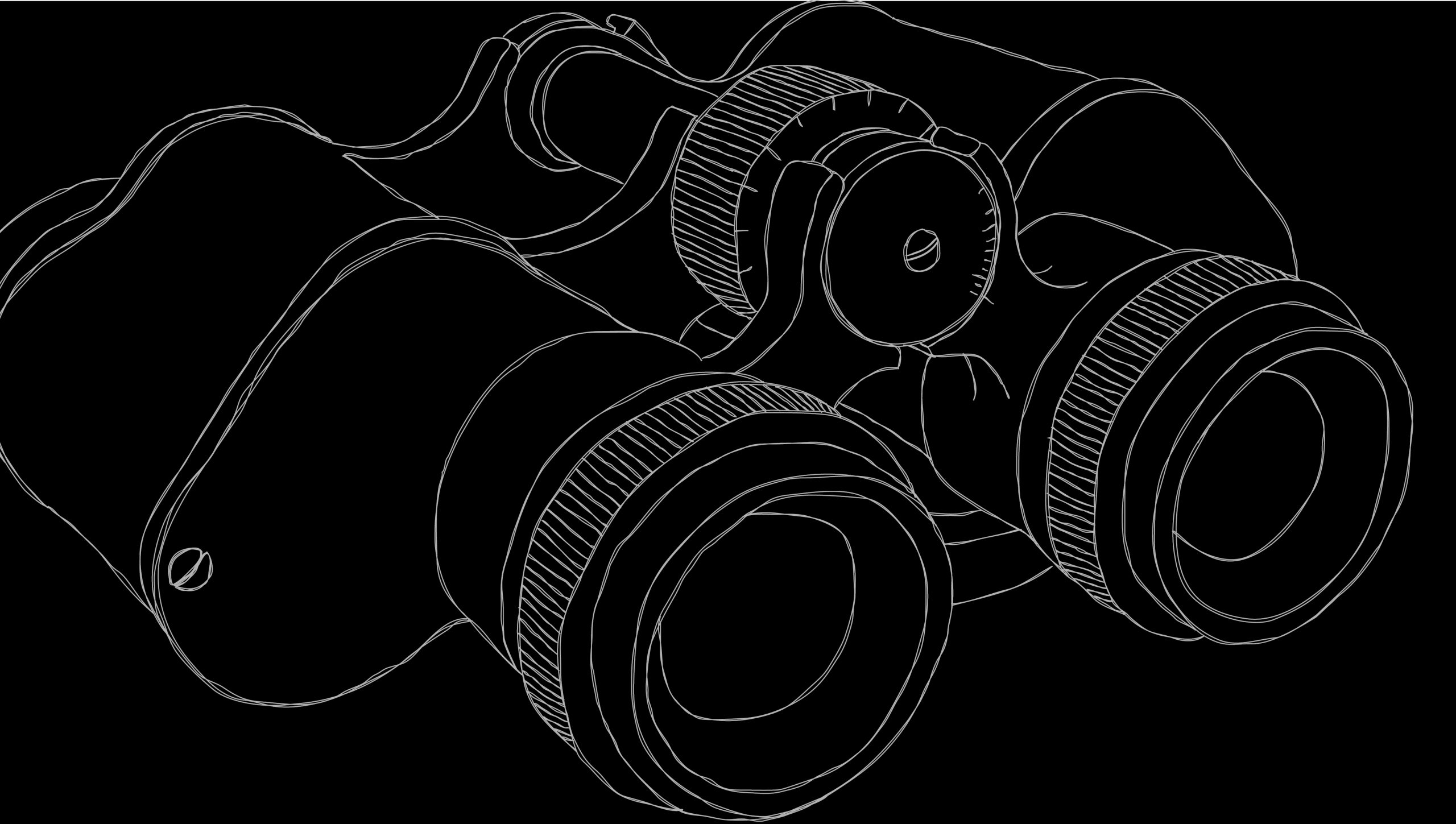 Whatever Book illustration