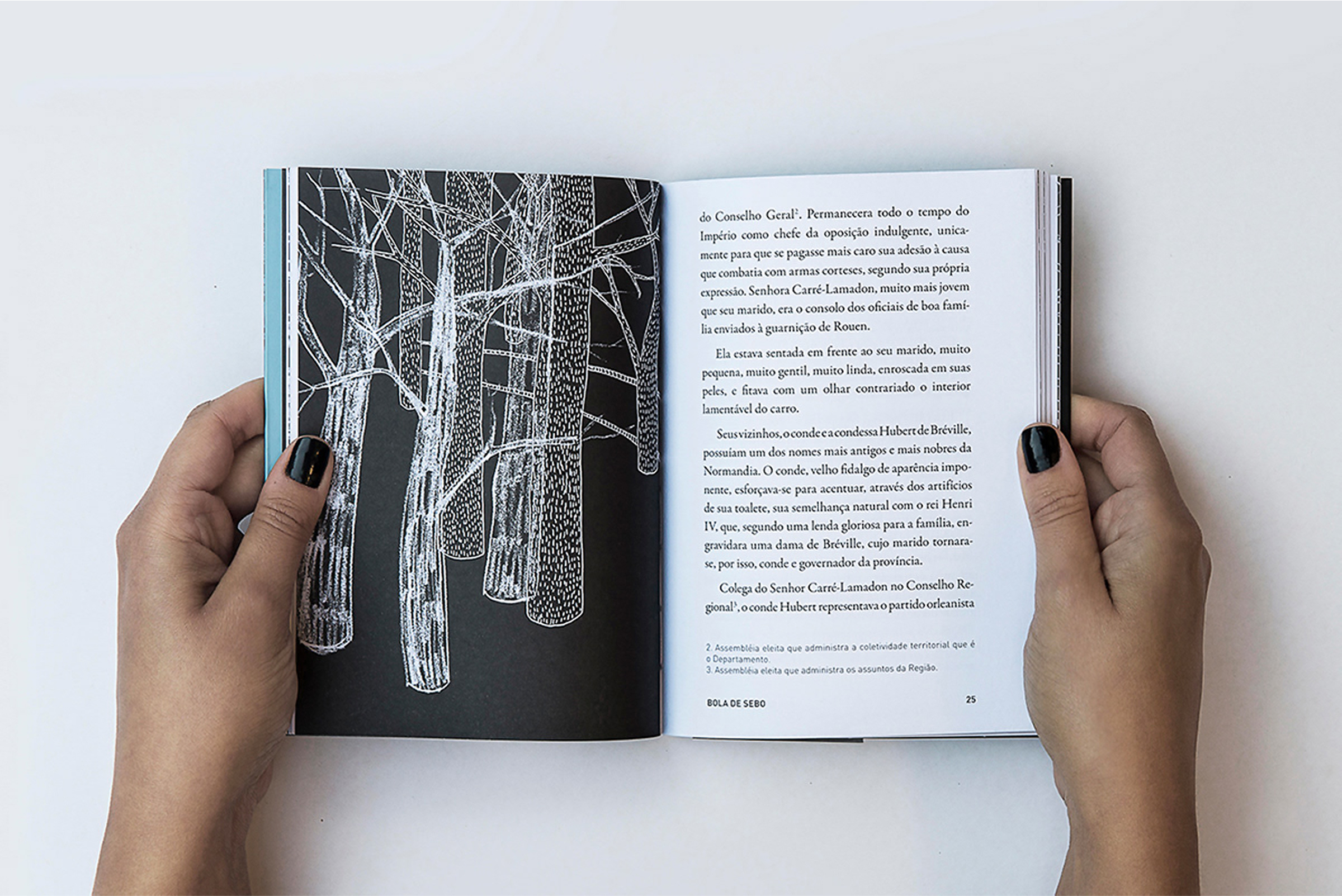 Contos Franceses page